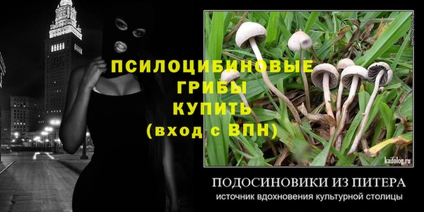 apvp Белокуриха