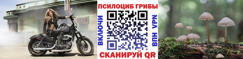 Галлюциногенные грибы GOLDEN TEACHER  дарнет шоп  Севск 